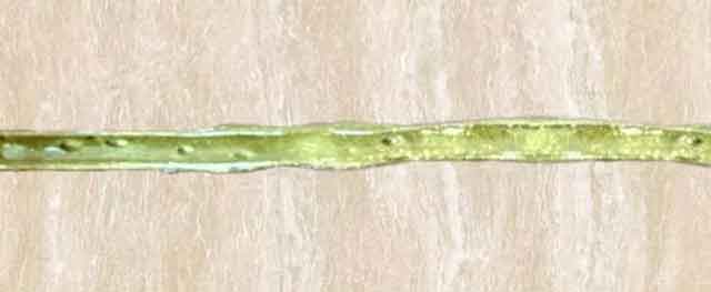 瓷磚美縫劑 瓷磚美縫劑