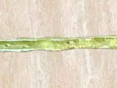 新手做瓷磚美縫第一步，正確的排膠方法